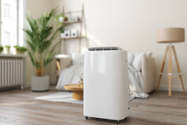 Best Local HVAC Companies  in Limestone Creek, FL